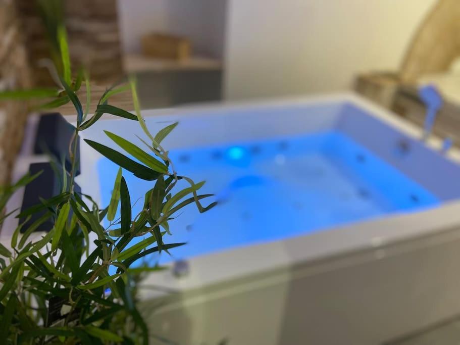 Lover Dose Spa Vierzon Buitenkant foto